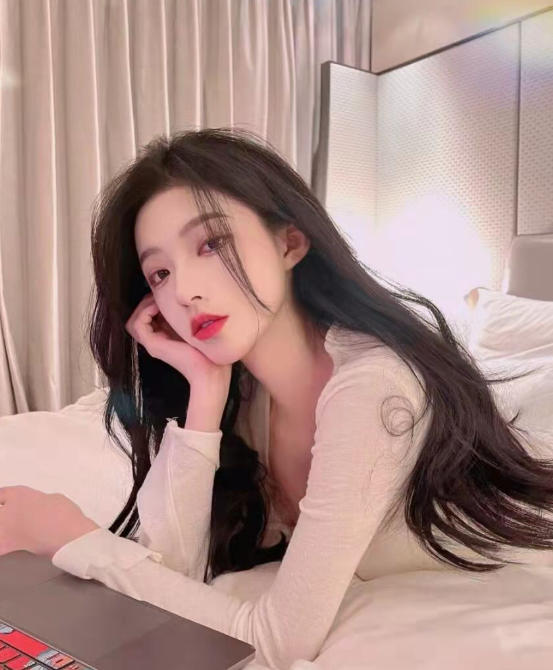 高端商务伴游案例